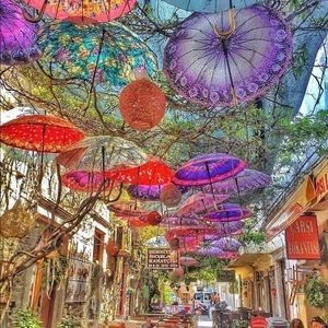 Meet your Posher, Desiree